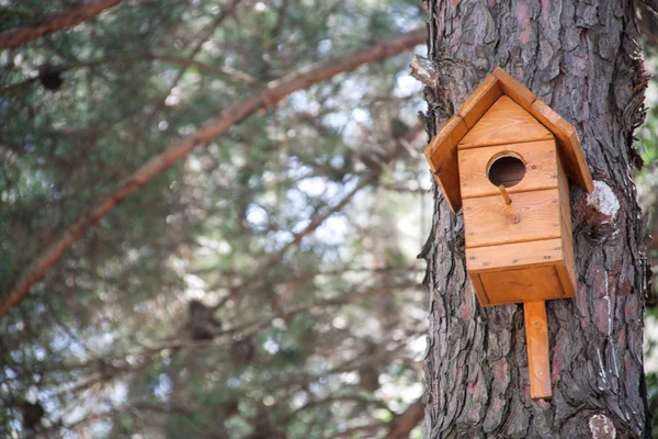 Wooden birdhouse on a tree in the forest and park — Stock Photo, Image