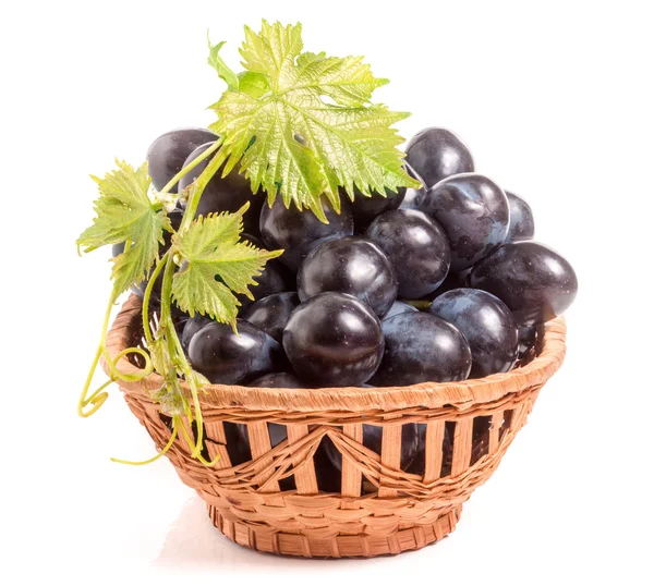 Uvas azules en una cesta de mimbre aisladas sobre fondo blanco — Foto de Stock