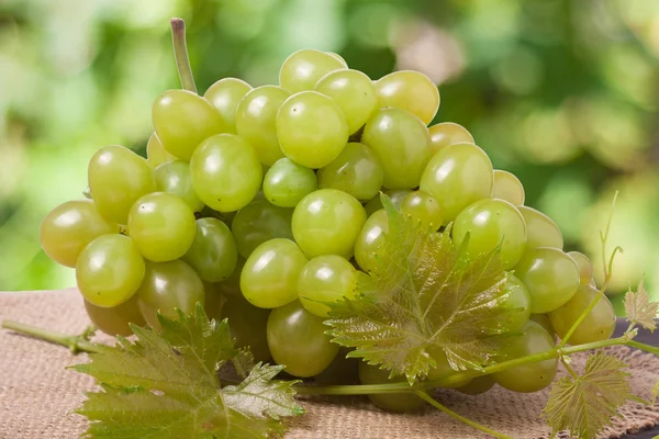 Bouquet de raisins verts sur sac avec un fond flou — Photo