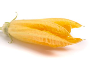 Beyaz arka plan makro'izole kabak çiçeği