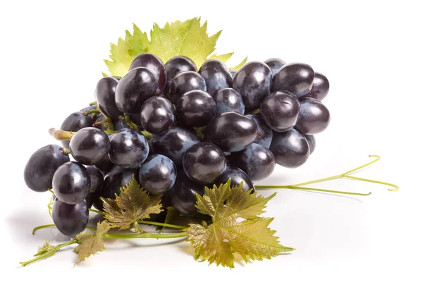Grappolo d'uva blu con foglia isolata su fondo bianco — Foto Stock