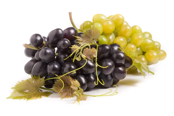 Bund grüner und blauer Trauben mit Blättern auf weißem Hintergrund — Stockfoto