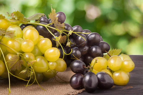 Uvas azules y verdes sobre mesa de madera con fondo borroso — Foto de Stock