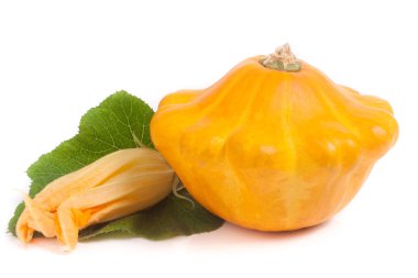 yaprak ve çiçek beyaz arka plan üzerinde izole ile sarı pattypan kabak
