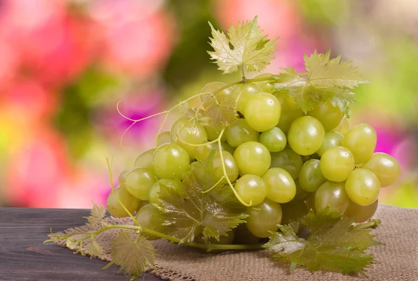 Racimo de uvas verdes maduras sobre una mesa de madera con fondo borroso — Foto de Stock