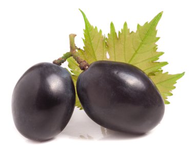 İki koyu mavi çilek üzüm yaprağı beyaz arka plan üzerinde izole