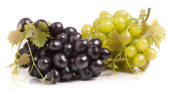 Bund grüner und blauer Trauben mit Blättern auf weißem Hintergrund — Stockfoto