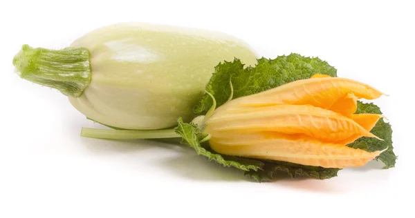Zucchini mit Blume und Blatt isoliert auf weißem Hintergrund — Stockfoto