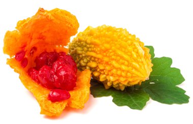 Yaprak Beyaz arka plan üzerinde izole sarı duyurulan momordica