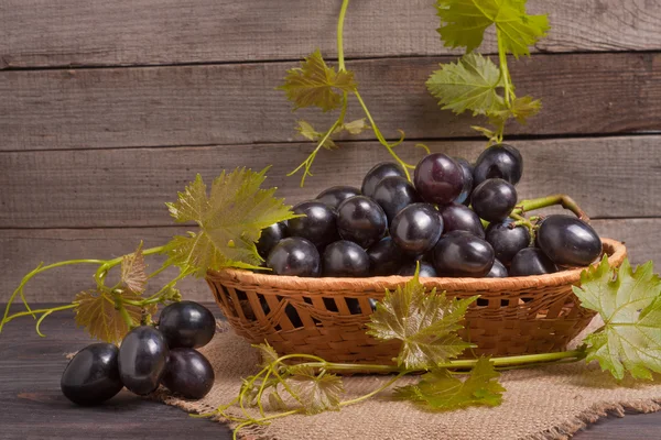 Blaue Trauben in einem Weidenkorb auf einem Holztisch — Stockfoto