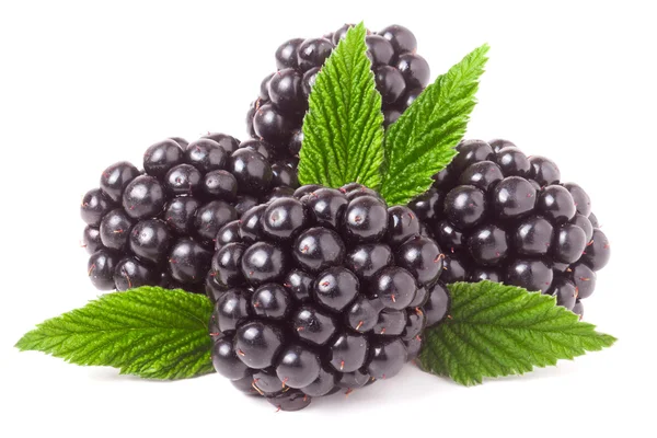 Hög med blackberry med lämnar isolerade på vit bakgrund — Stockfoto
