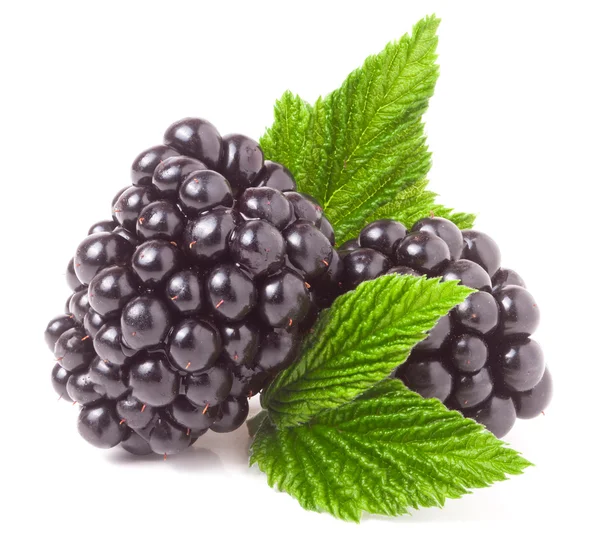 黑莓与叶上白色背景特写孤立 — 图库照片