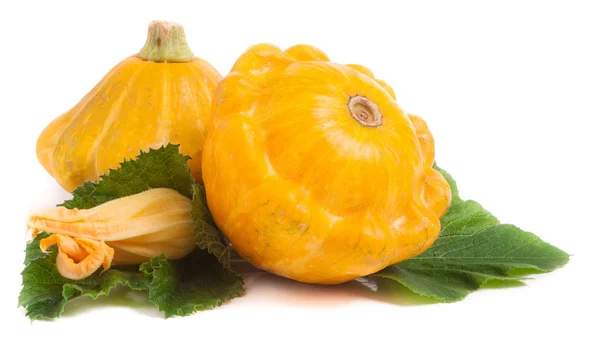 Dos calabaza pattypan amarillo con hoja y flor aislada sobre fondo blanco — Foto de Stock