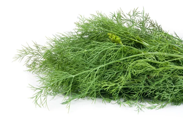 Bunch of dill isolated on a white background closeup — Stock Photo, Image