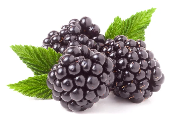 Tři blackberry s listy izolované na bílém pozadí closeup — Stock fotografie