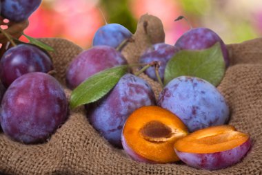 Erik arka plan bulanık ile Sim Tarih