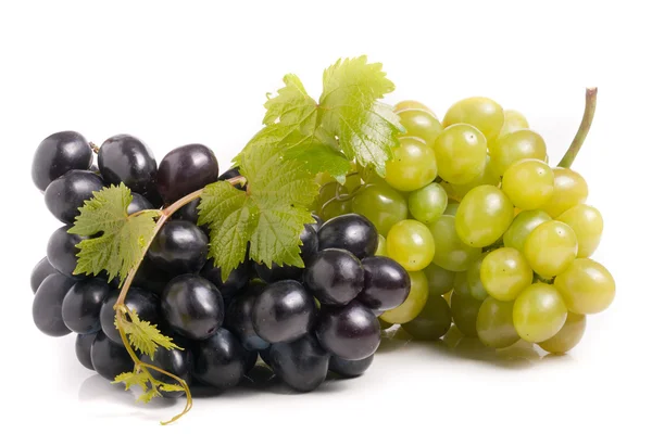 Bund grüner und blauer Trauben mit Blättern auf weißem Hintergrund — Stockfoto