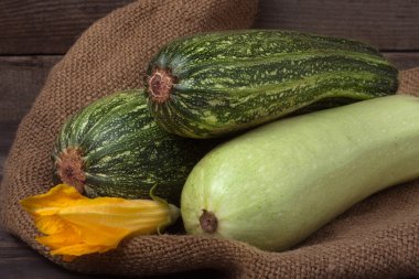 kabak ve kabak çul çiçek üzerinde