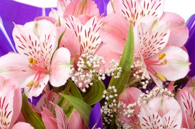 Alstroemeria buket kapatmak makro arka plan