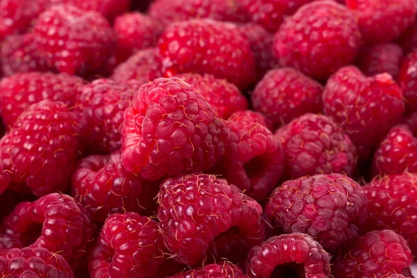 Red raspberry as a background close up — Stock Photo, Image