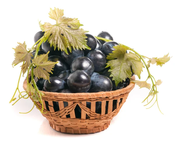 Синий виноград в плетеной корзине изолированы на белом фоне — стоковое фото