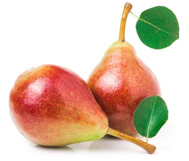 Beyaz arka plan üzerinde izole yaprak iki kırmızı armut