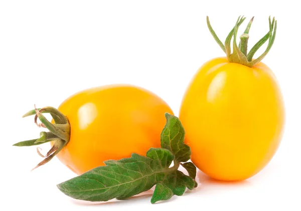 Два желтых помидора с листом на белом фоне — стоковое фото
