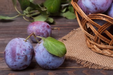 Erik çul ahşap zemin üzerine bir hasır sepet içinde