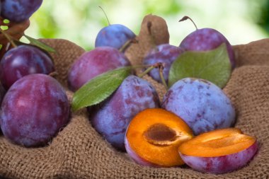 Erik arka plan bulanık ile Sim Tarih