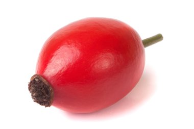 kuşburnu berry izole üzerinde beyaz arka plan