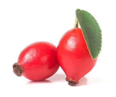 Beyaz zemin üzerinde yaprak izole gül kalça üzümü