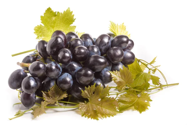 Racimo de uvas azules con hoja aislada sobre fondo blanco — Foto de Stock