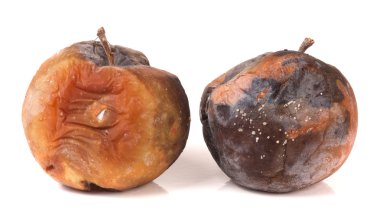 Beyaz bir arka plan üzerinde izole iki çürük elma