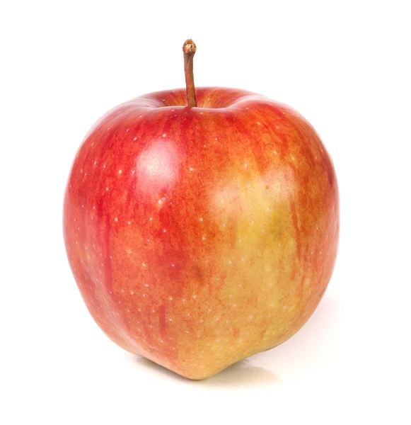 Een rode appel geïsoleerd op witte achtergrond — Stockfoto