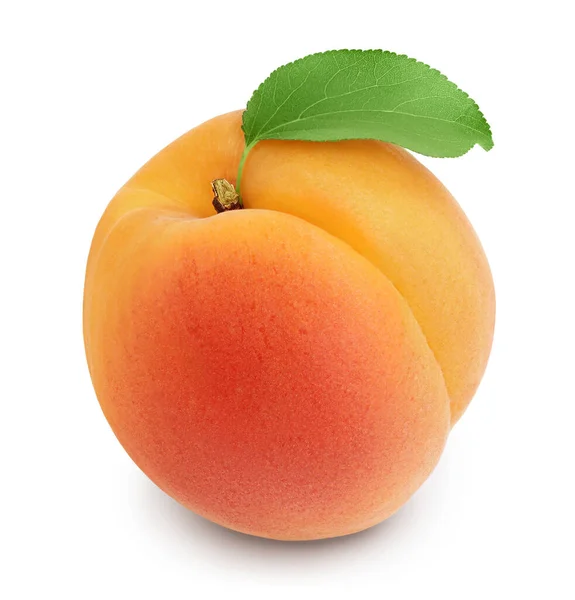 Apricot fruit isolated on white background. Clipping path and full depth of field — Stock Photo, Image