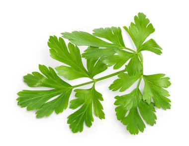 Maydanoz yaprakları beyaz arka planda izole edilmiş, kırpma yolu ve geniş bir alana yayılmış. Üst Manzara. Düz yatıyordu.