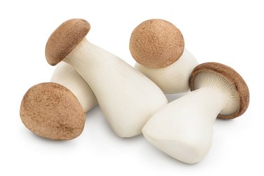 Kral istiridye mantarı ya da Eringi kırpma yolu ve tam derinlikte beyaz zemin üzerinde izole.