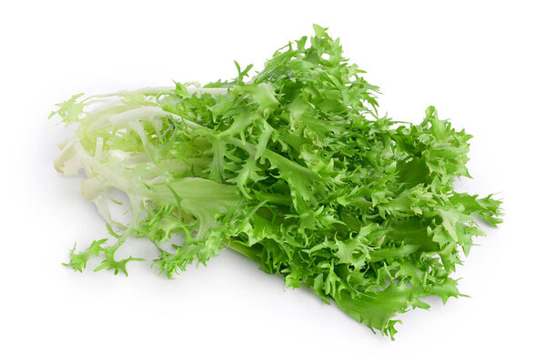 Fresh green leaves of endive frisee chicory salad isolated on white background with clipping path and full depth of field