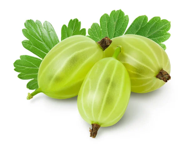 Green gooseberry isolated on white background with clipping path and full depth of field — Stock Photo, Image