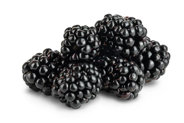 黑莓被隔离在白色的背景特写中。采收路径和全场深度 — 图库照片