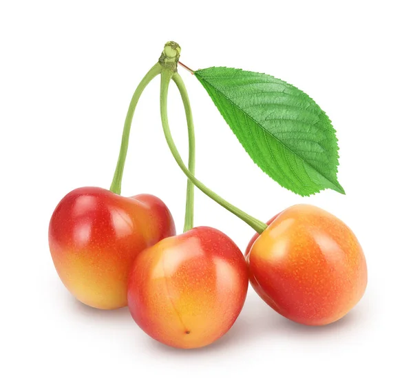 Cherry manis kuning-merah diisolasi pada latar belakang putih dengan tapak kliping dan kedalaman penuh bidang — Stok Foto