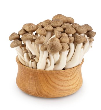 Kahverengi kayın mantarları ya da tahta kasedeki Shimeji mantarları kesme yolu ve geniş bir alan derinliği olan beyaz arka planda izole edilmiş..