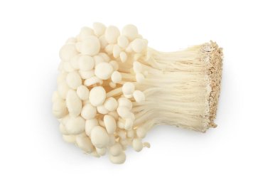 Enoki mantarı, beyaz arka planda izole edilmiş altın iğne mantarı kırpma yolu ve tam derinlik.
