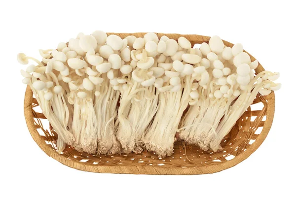 Champignon Enoki, champignon aiguille dorée dans un panier en osier isolé en fond blanc avec chemin de coupe. Vue de dessus. Pose plate — Photo