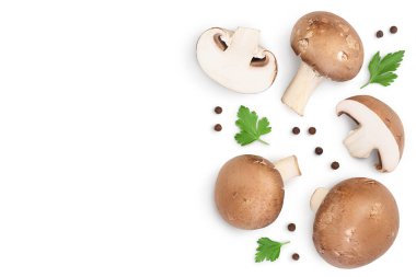 Royal Brown champignon with leaf parsley isolated on white background with clipping path. Top view with copy space for your text. Flat lay clipart