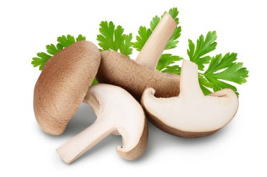 Taze Shiitake mantarı kırpma yolu ve tam derinlik ile beyaz arkaplanda izole edildi.