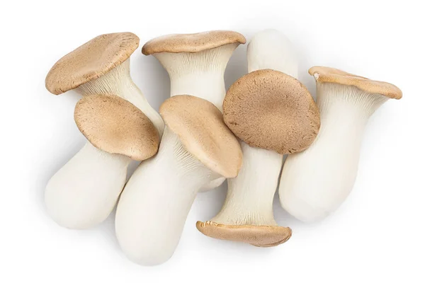 King Oyster mushroom or Eringi isolated on white background with clipping path. Top view. Flat lay — Stock Photo, Image