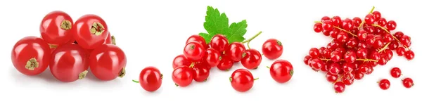 Rote Johannisbeeren mit Blatt isoliert auf weißem Hintergrund. Set oder Sammlung — Stockfoto