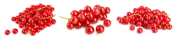 Красная смородина ягоды с листьями изолированы на белом фоне. Набор или коллекция — стоковое фото