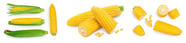 Ухо кукурузы изолированы на белом фоне. Путь обрезки и полная глубина поля. Набор или коллекция — стоковое фото